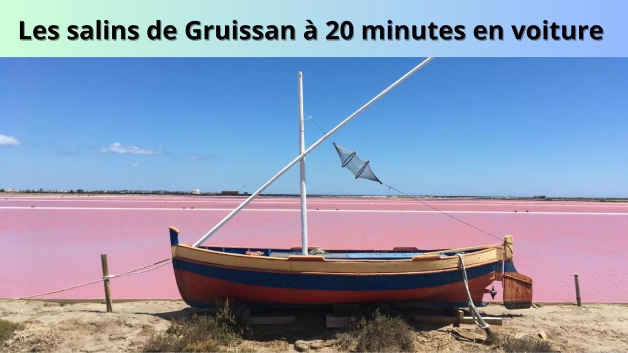 Le Cosy Lägenhet Narbonne Exteriör bild